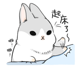 快点快点，该起床了