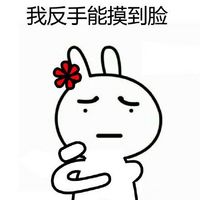 恶搞兔图片大全，恶搞兔反手摸肚脐系列表情