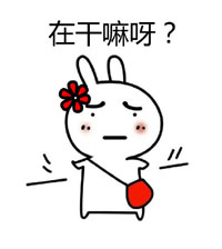 恶搞兔问候，在干嘛呀