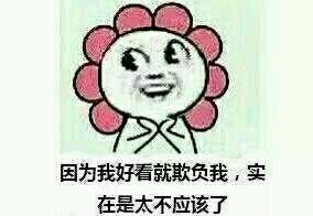 因为我好看就欺负我，实在太不应该了啊