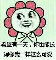 希望有一天，你也长得像我一样可爱