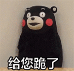我给你跪了