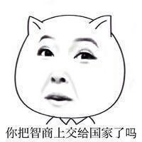 猥琐猫QQ表情，恶搞猥琐猫的图片