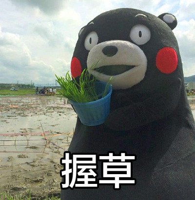 握草，吓死我了