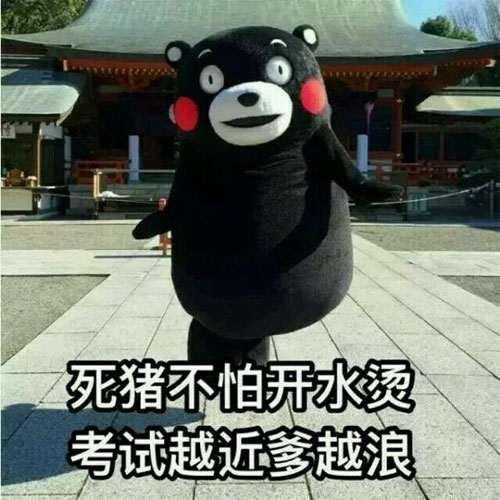 死猪不怕开水烫，考试越近爹越浪