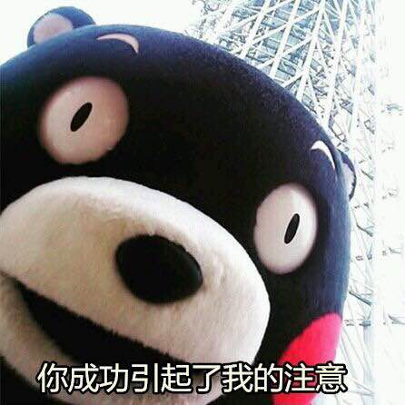 你成功引起了我的注意