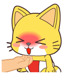 你是一只乖猫猫