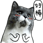 好棒啊
