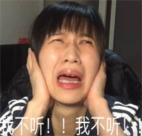 我不听我不听