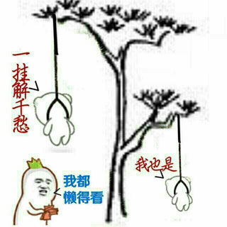 我懒得看，祝你们升天愉快