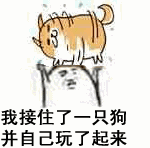 关于扔狗接狗的搞笑动态图片