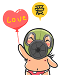 给你我的爱