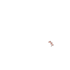 快步跑过来给你点个赞