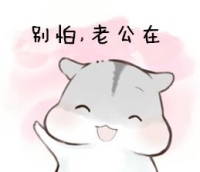小仓鼠爱老婆QQ表情吧