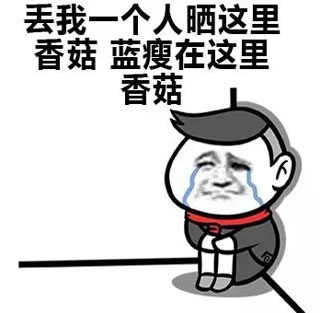 蓝瘦香菇表情包9