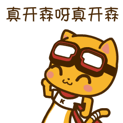 真开心啊真开心