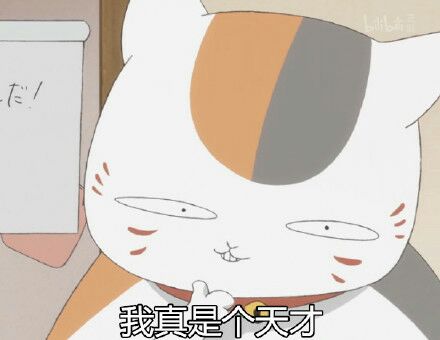 我真是个天才