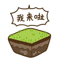 hi，我来啦