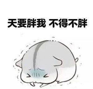 呆萌小胖鼠表情图片