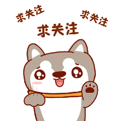求关注哦