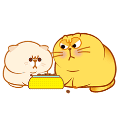 不给你吃，我就要吃