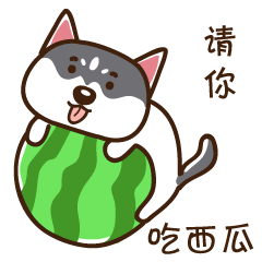 我请你吃西瓜
