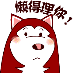 告诉你，我懒得理你