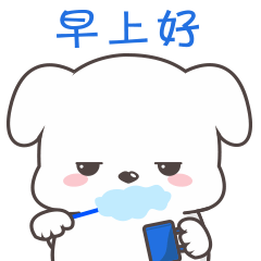 茶杯狗刷牙问候，早上好