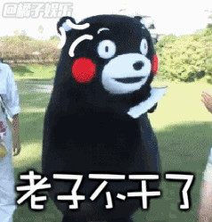 妈的，老子不干了