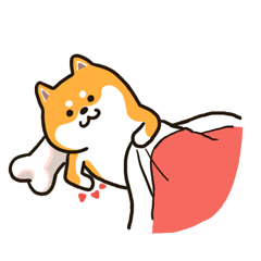 来来来，一起睡觉吧