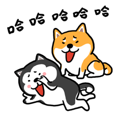 哈哈哈，笑死我俩了