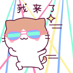 酷酷的猫猫来了