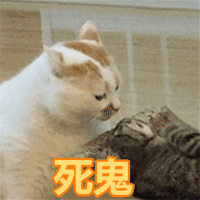 可爱搞笑的喵星人QQ表情图片