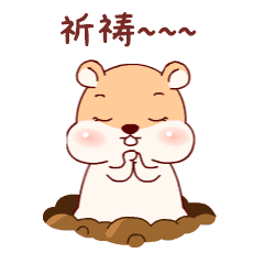 我为你祈祷