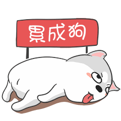 哥已经累成狗了