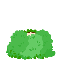 本猫猫躲在这里