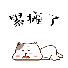 我已经累瘫了