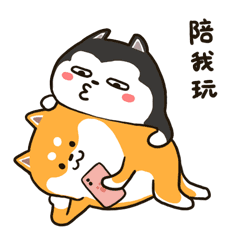 别玩手机了，快陪我玩