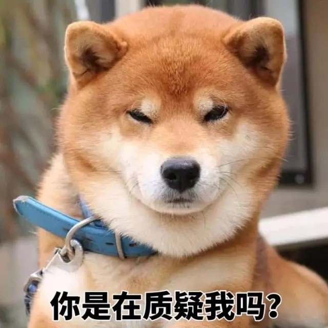 你是在质疑我吗