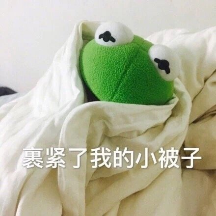 裹紧小被子睡觉觉