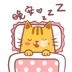 晚安，本大喵要睡觉觉了