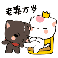 老婆万岁
