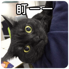 萌萌的栗总qq表情包，从前有个栗子的可爱图片