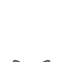 可狸与玛萨微信表情包