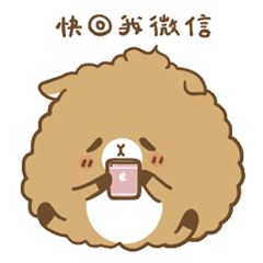 快回我微信