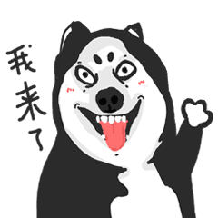 非常搞笑的疯狂皮皮哈qq表情包