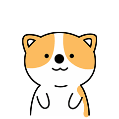 关于柯基犬橘部的表情图片