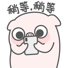 小猪猪wink微信表情图片