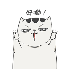 猫桥日常的专题图片