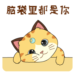 告诉你，我脑袋里都是你